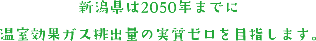 新潟県は2050年までに温室効果ガス排出量の実質ゼロを目指します。